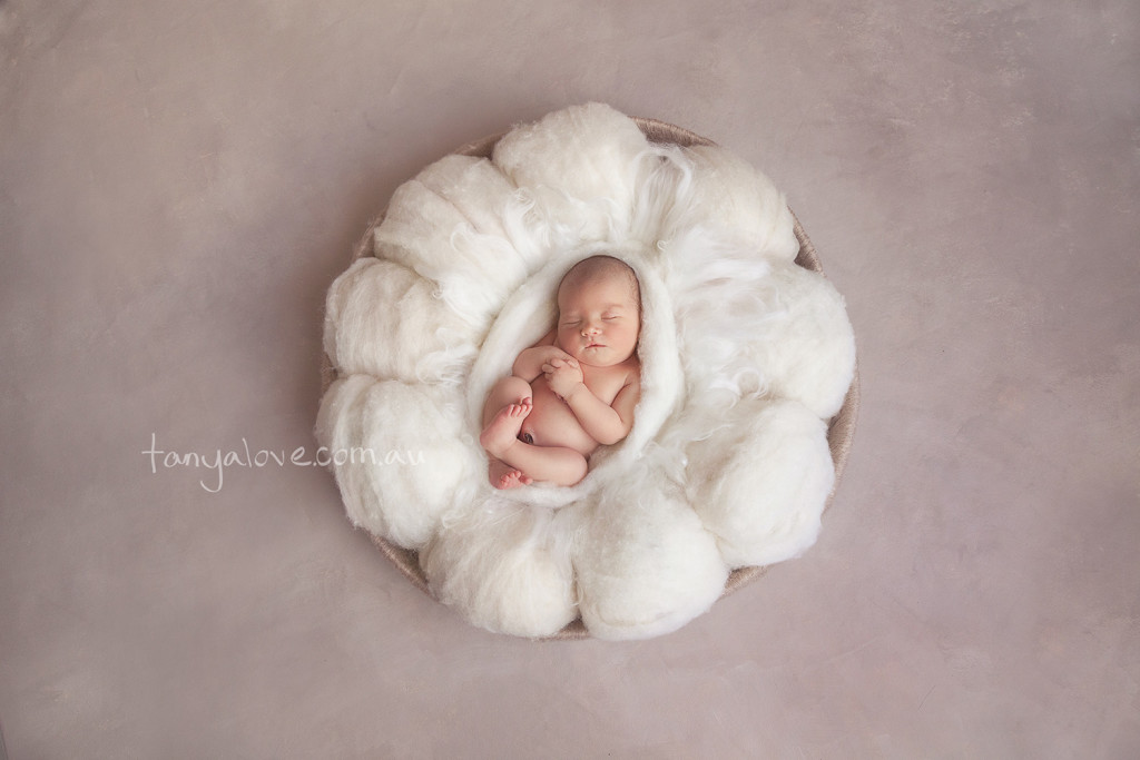 an IVF journey