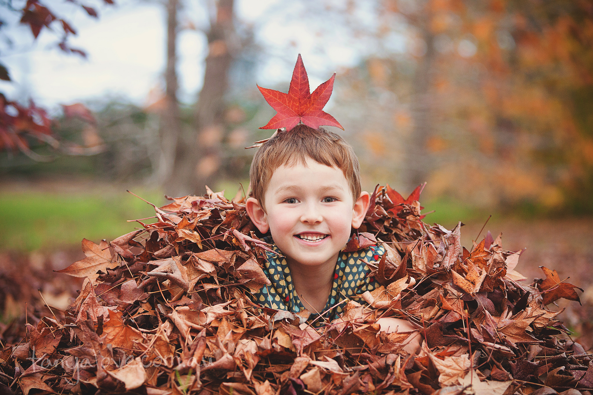 Edited_Poli__Brisbane_Family_Photographer_150614_20